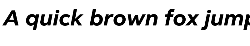 Preview of Facebook Sans Bold Italic font