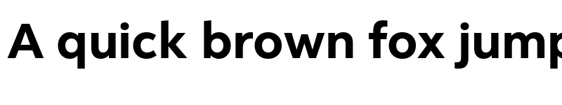 Preview of Facebook Sans Bold font