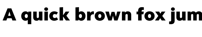 Preview of Facebook Sans Heavy font