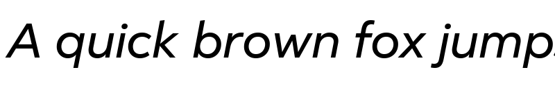 Preview of Facebook Sans Italic font