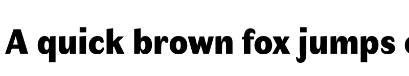 Preview of Faune Display Black font