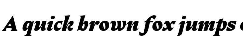 Preview of Fautive Trial Black Italic font