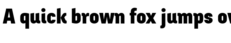 Preview of Fengardo Neue Black font