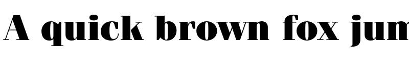 Preview of Fenice Pro ITC Ultra font