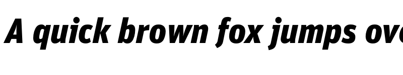 Preview of FF Unit Pro Black Italic font