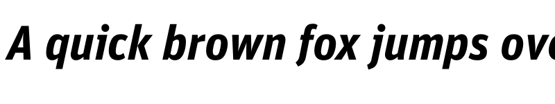 Preview of FF Unit Pro Bold Italic font