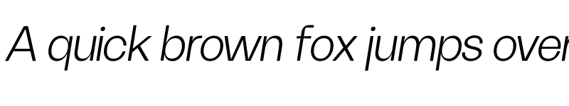 Preview of FH Oscar Test Light Italic font
