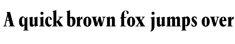 Preview of FH Ronaldson Condensed Test Black Condensed font