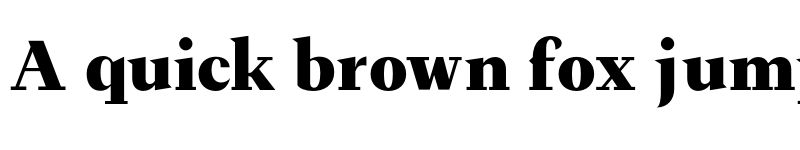 Preview of FH Ronaldson Text Test Black font