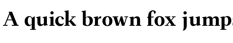 Preview of FH Ronaldson Text Test Bold font