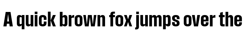 Preview of Field Gothic TEST No.45 Bold Cond font