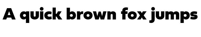 Preview of Fieldwork Geo Black font