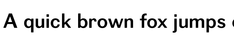 Preview of Figgins Sans Bold font