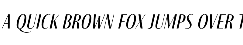 Preview of Fino Sans Italic font