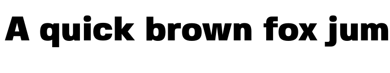 Preview of Fivo Sans Black font