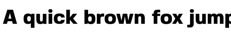 Preview of Fivo Sans Heavy font