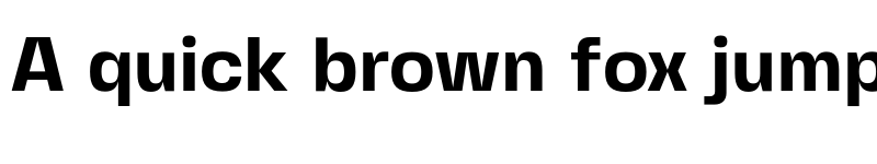 Preview of Fivo Sans Modern Bold font