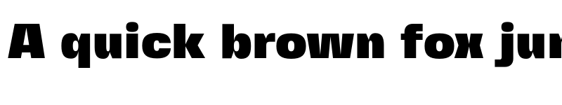 Preview of Fivo Sans Modern Extra Black font