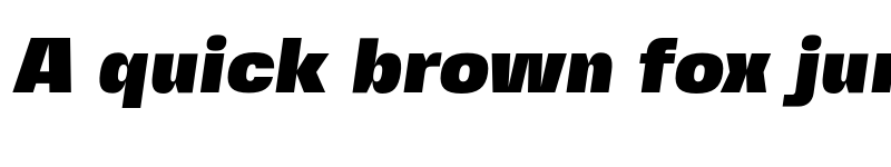 Preview of Fivo Sans Modern ExtraBlack Oblique font