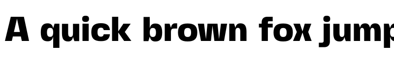 Preview of Fivo Sans Modern Heavy font