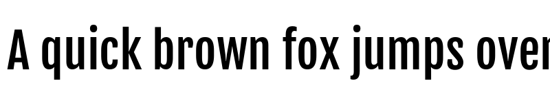 Preview of FjallaOne Regular font