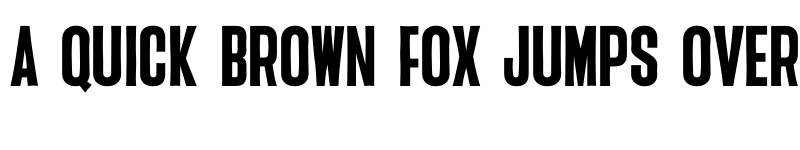 Preview of Flavor_sans Regular font