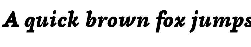 Preview of FONTSPRING DEMO - Aila Black- Italic font