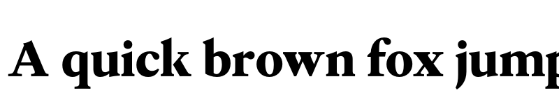 Preview of FONTSPRING DEMO - Allrounder Antiqua Bold font