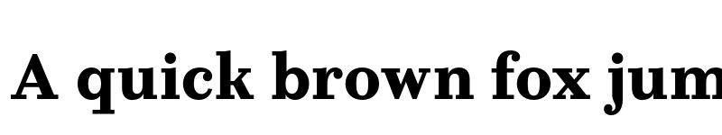 Preview of FONTSPRING DEMO - Allrounder Didone Bold font