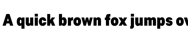 Preview of FONTSPRING DEMO - Allrounder Grotesk Cmp Black Regular font