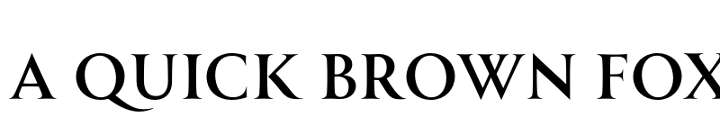 Preview of FONTSPRING DEMO - Allrounder Monument Regular font