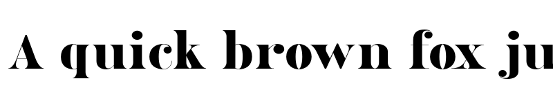 Preview of FONTSPRING DEMO - Ames' Roman Black Regular font