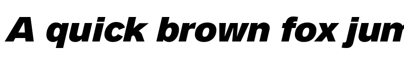 Preview of FONTSPRING DEMO - Analogue Pro Black Italic font