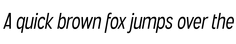 Preview of FONTSPRING DEMO - Angostura Bk Italic font