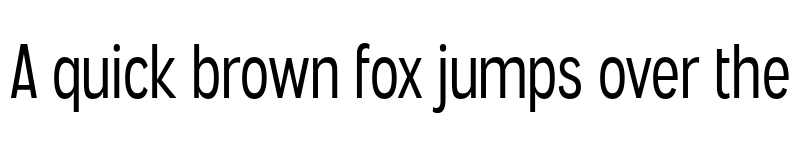 Preview of FONTSPRING DEMO - Angostura Bk Regular font