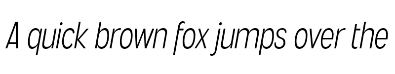 Preview of FONTSPRING DEMO - Angostura Lt Italic font