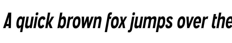 Preview of FONTSPRING DEMO - Angostura Rg Bold Italic font