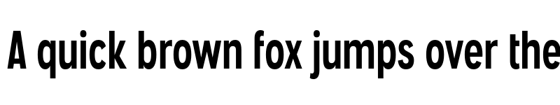 Preview of FONTSPRING DEMO - Angostura Rg Bold font