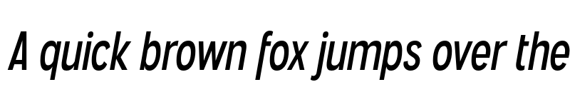 Preview of FONTSPRING DEMO - Angostura Rg Italic font