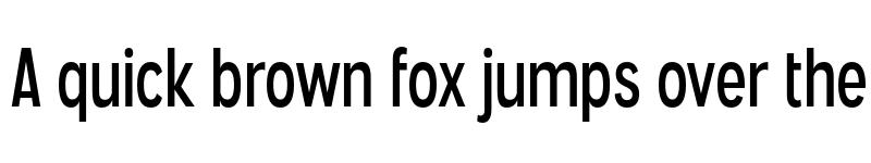 Preview of FONTSPRING DEMO - Angostura Rg Regular font