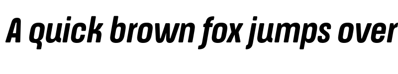 Preview of FONTSPRING DEMO - ApronSoft Cn Bd Italic font