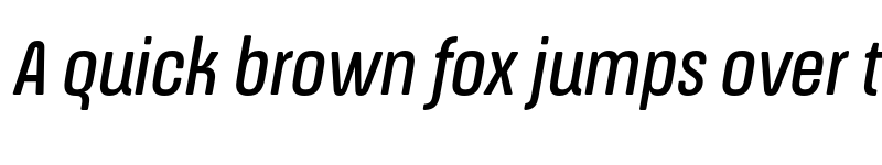 Preview of FONTSPRING DEMO - ApronSoft Cn Rg Italic font