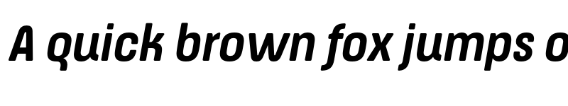 Preview of FONTSPRING DEMO - ApronSoft Nr Bd Italic font
