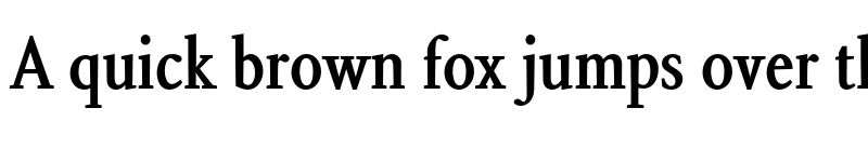 Preview of FONTSPRING DEMO - Aragon Condensed Bold font