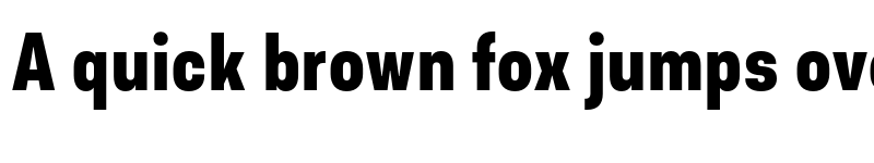 Preview of FONTSPRING DEMO - Asket Condensed Bold font