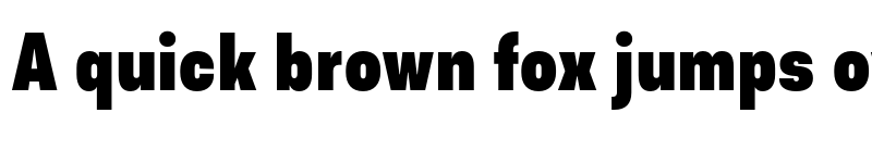 Preview of FONTSPRING DEMO - Asket Condensed ExtraBold font