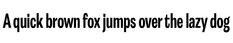 Preview of FONTSPRING DEMO - Astrid Grotesk Reg XCn Bold font