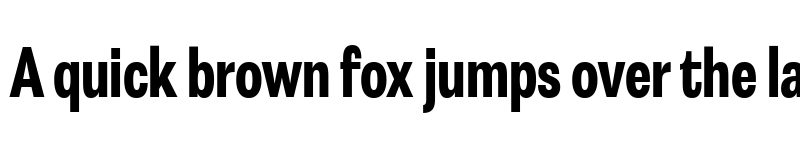 Preview of FONTSPRING DEMO - Astrid Grotesk XBd Cn Regular font