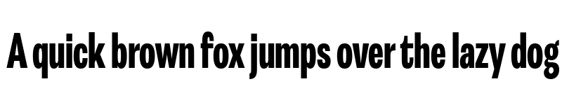 Preview of FONTSPRING DEMO - Astrid Grotesk XBd XCn Regular font