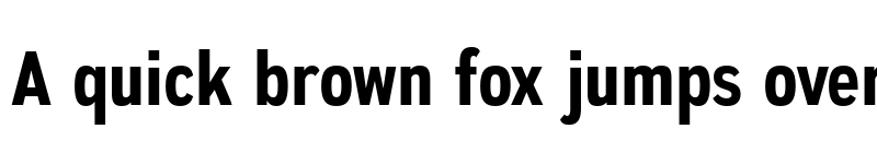 Preview of FONTSPRING DEMO - Autoradiographic Rg Bold font